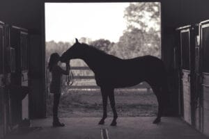 A young woman face to face with a horse in the entrance of a barn